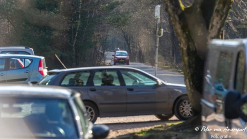 2022-03-06-Wandeling-met-Puck-en-Luna-Rozendaalse-Veld-1
