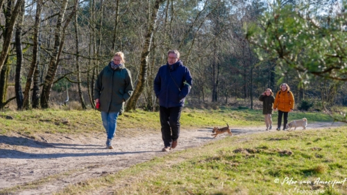 2022-03-06-Wandeling-met-Puck-en-Luna-Rozendaalse-Veld-2
