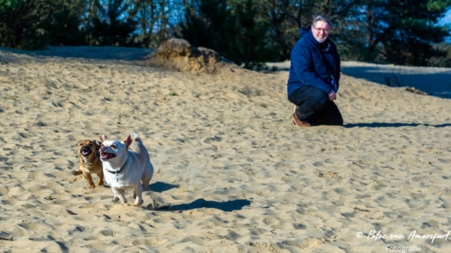 2022-03-06-Wandeling-met-Puck-en-Luna-Rozendaalse-Veld-29