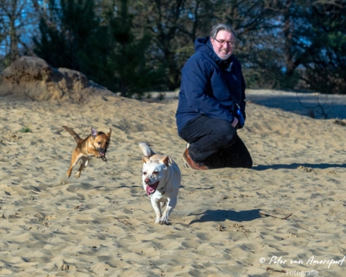 2022-03-06-Wandeling-met-Puck-en-Luna-Rozendaalse-Veld-33