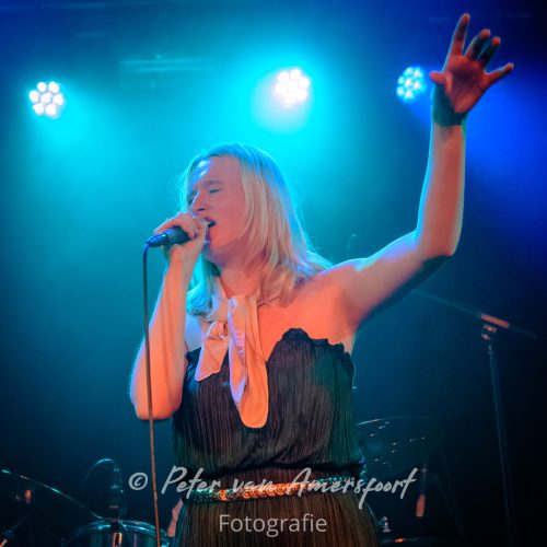 Rijn&IJssel Showcases 14 -05-2025