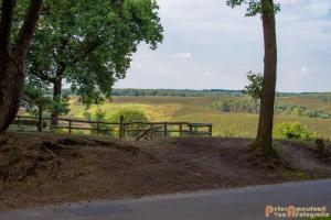 2017-07-08 Rondje Herikhuizerveld-01