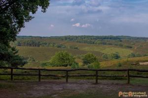2017-07-08 Rondje Herikhuizerveld-02