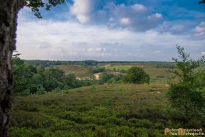 2017-07-08 Rondje Herikhuizerveld-03