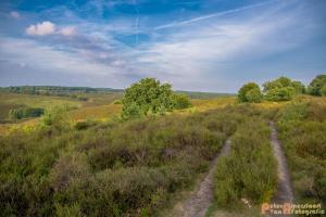 2017-07-08 Rondje Herikhuizerveld-05