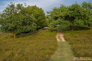 2017-07-08 Rondje Herikhuizerveld-06