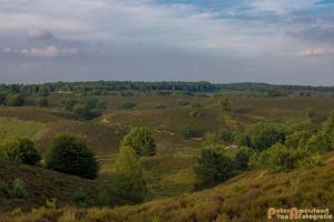 2017-07-08 Rondje Herikhuizerveld-08