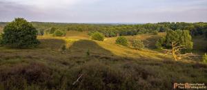 2017-07-08 Rondje Herikhuizerveld-10