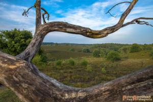 2017-07-08 Rondje Herikhuizerveld-13