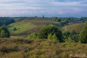 2017-07-08 Rondje Herikhuizerveld-14