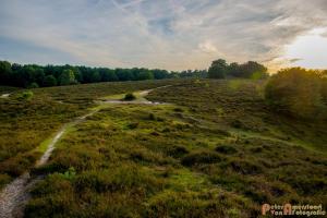 2017-07-08 Rondje Herikhuizerveld-15