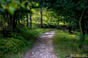 2017-07-08 Rondje Herikhuizerveld-16