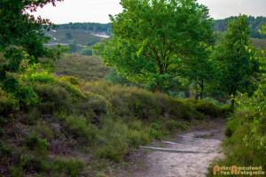 2017-07-08 Rondje Herikhuizerveld-17