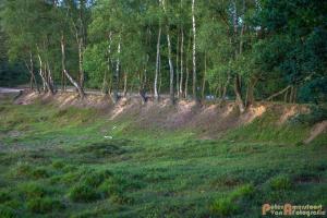 2017-07-08 Rondje Herikhuizerveld-18