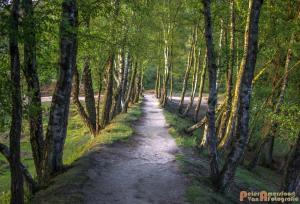 2017-07-08 Rondje Herikhuizerveld-19
