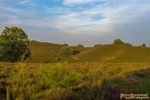 2017-07-08 Rondje Herikhuizerveld-21