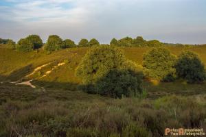 2017-07-08 Rondje Herikhuizerveld-22