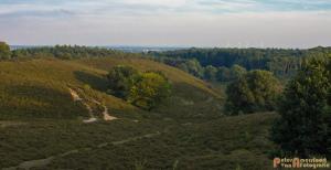 2017-07-08 Rondje Herikhuizerveld-24