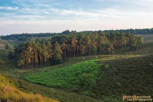 2017-07-08 Rondje Herikhuizerveld-26