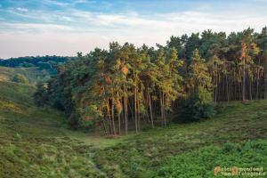 2017-07-08 Rondje Herikhuizerveld-28