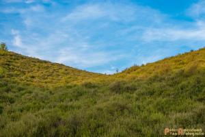 2017-07-08 Rondje Herikhuizerveld-30