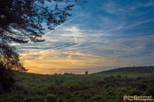 2017-07-08 Rondje Herikhuizerveld-31