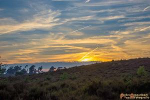 2017-07-08 Rondje Herikhuizerveld-32