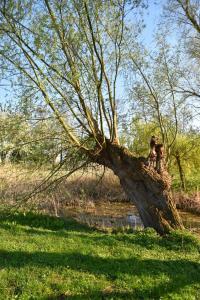 2017-04-08 Rondje Groessen-Loo 02