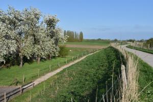 2017-04-08 Rondje Groessen-Loo 11