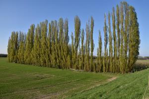 2017-04-08 Rondje Groessen-Loo 16