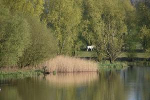 2017-04-08 Rondje Groessen-Loo 19