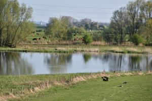 2017-04-08 Rondje Groessen-Loo 20