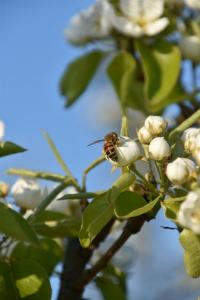 2017-04-08 Rondje Groessen-Loo 30