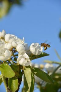 2017-04-08 Rondje Groessen-Loo 31