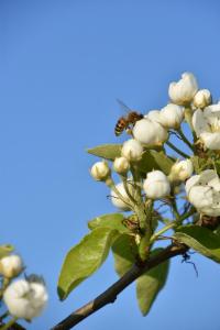 2017-04-08 Rondje Groessen-Loo 32