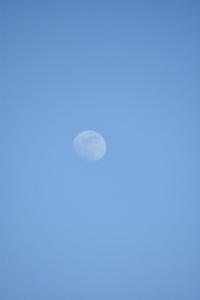 2017-04-08 Rondje Groessen-Loo 34