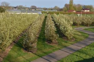 2017-04-08 Rondje Groessen-Loo 36