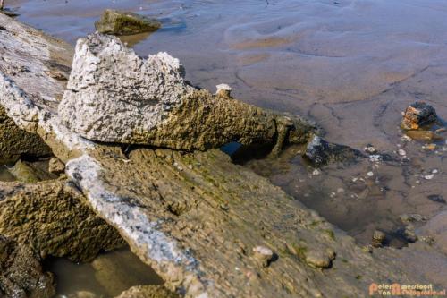 2018-08-19 Scheepswrak Spijk 025