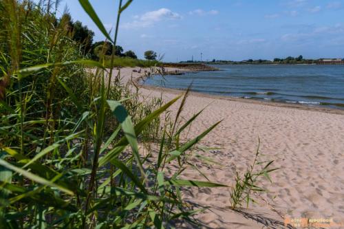 2018-08-19 Scheepswrak Spijk 033