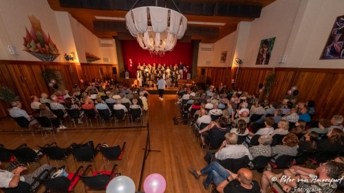 2022-07-02-Concert-Stemplezier-Vorden 038