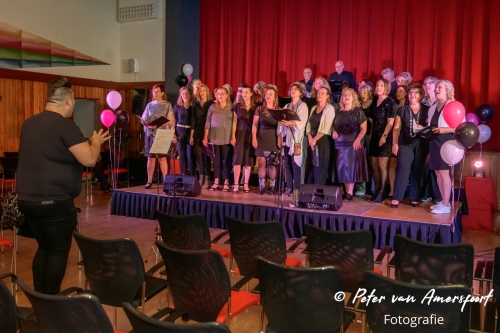 Stemplezier Live 2024