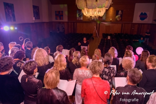 Stemplezier Live 2024