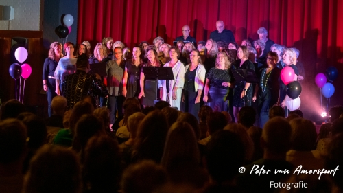 Stemplezier Live 2024