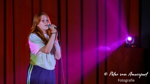 Stemplezier Live 2024