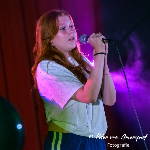 Stemplezier Live 2024