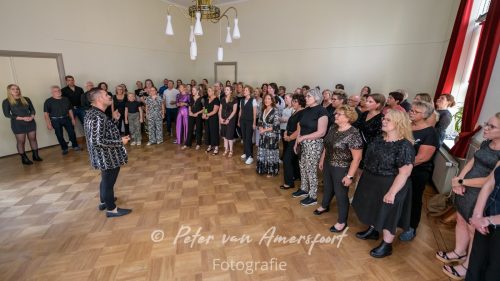 Stemplezier Live 2025