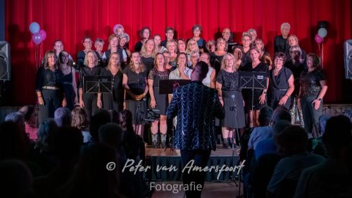 Stemplezier Live 2025