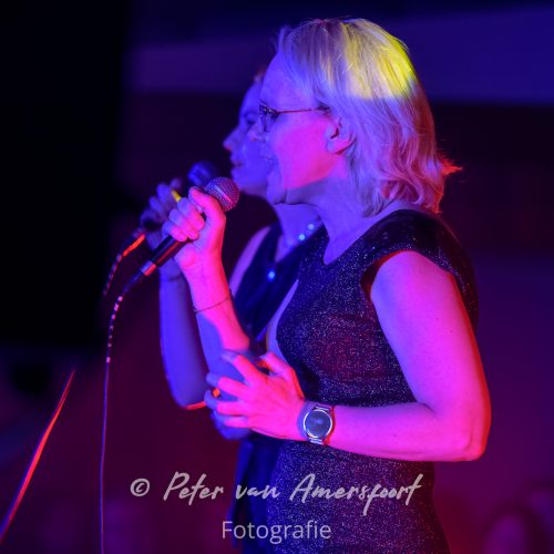 Stemplezier Live 2025