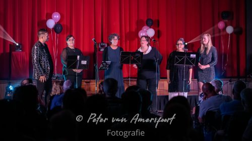 Stemplezier Live 2025