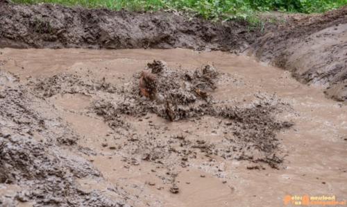 2019-06-16 Strong Viking Water Edition 057